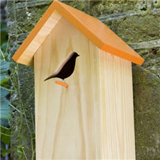 bird-at-home-birdhouse