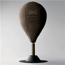 Everlast Desktop Speed Bag