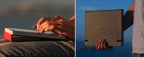 iPad Dodo Case