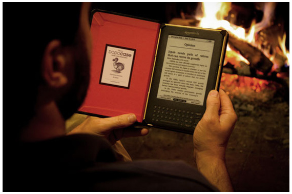 Kindle 3 Dodocase