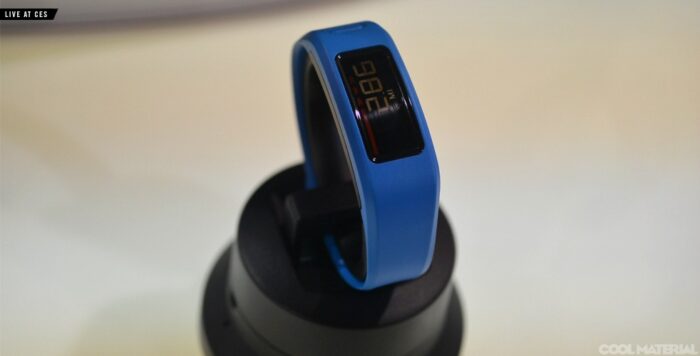 Garmin Vivofit Fitness Band