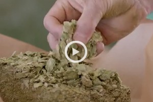 hopvid