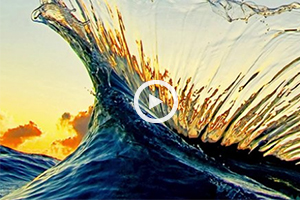 wavevid