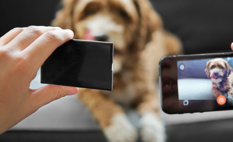 Alt Image
