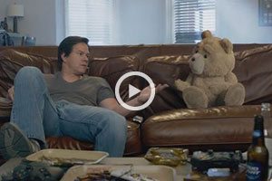 tedvid