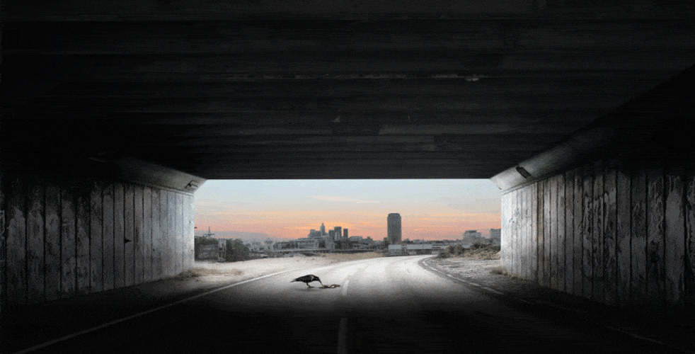 True Detective Motion Posters