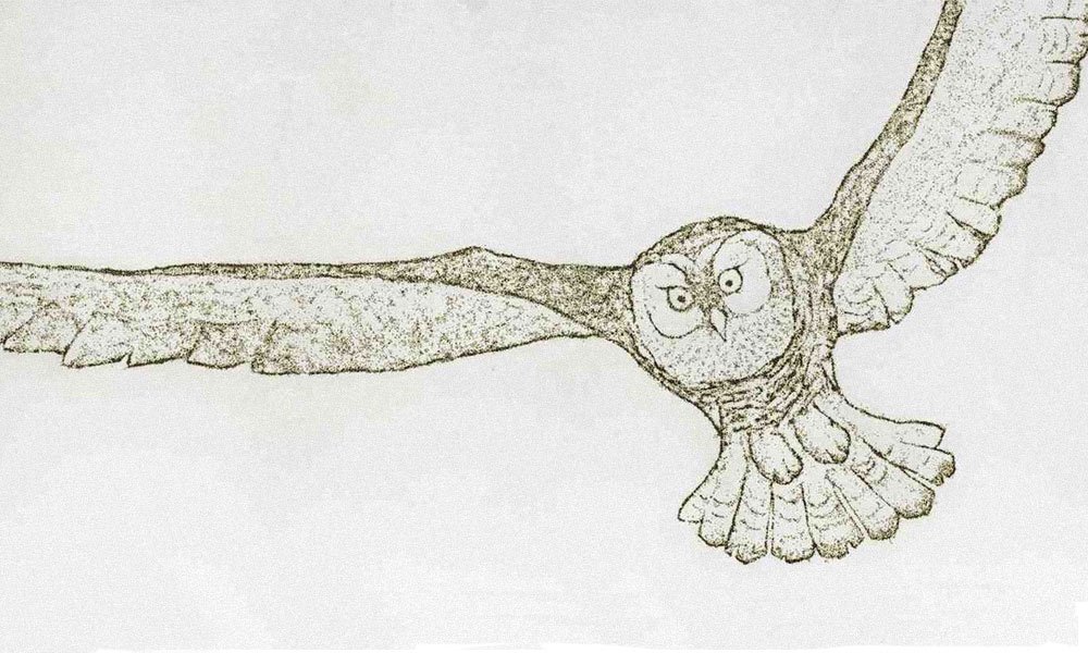 Alt Image