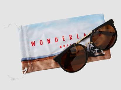 Frank + Oak Wonderland Stateline Sunglasses