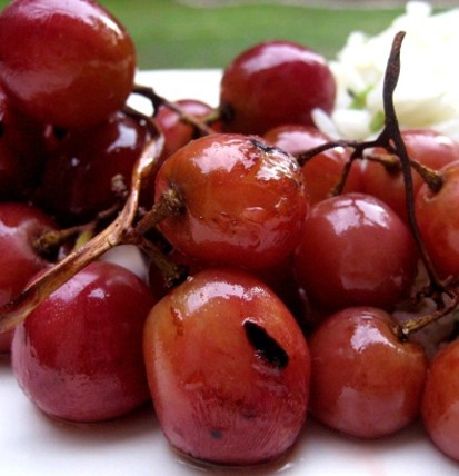 Grilled Grapes