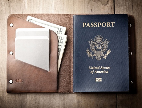Mr. Lentz Passport Wallet