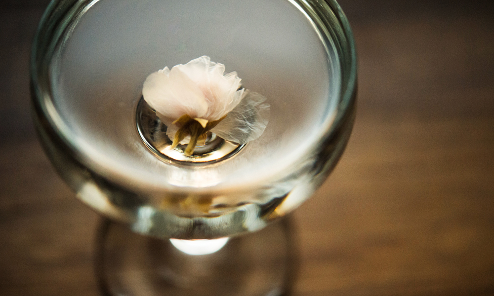 The 10 Best Gin Cocktails To Try