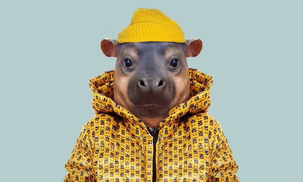 Alt Image