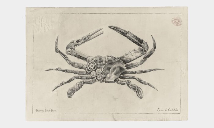 Mechanical Crustaceans by Steeven Salvat