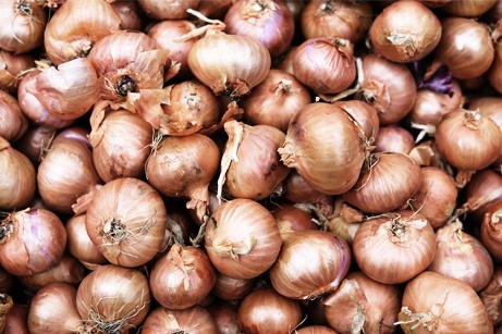 Google is Lying about Onions and Blaming Me for It