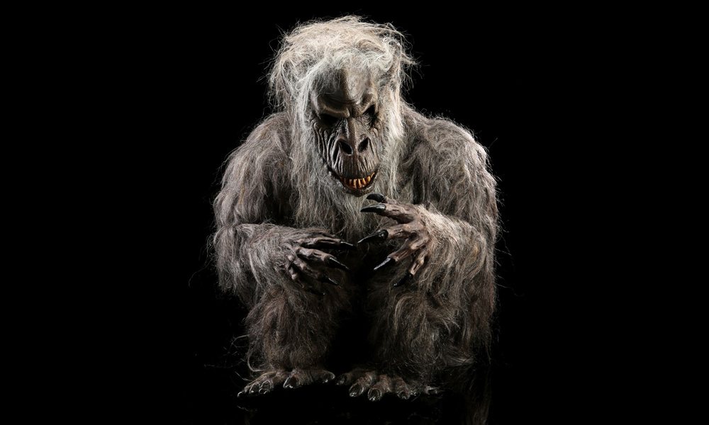Alt Image
