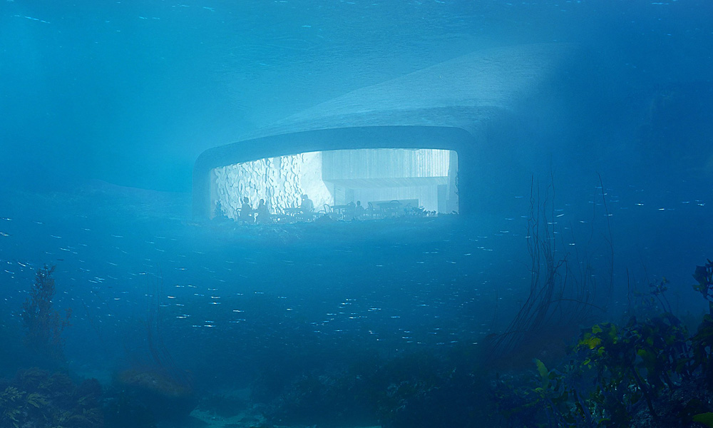 Alt Image