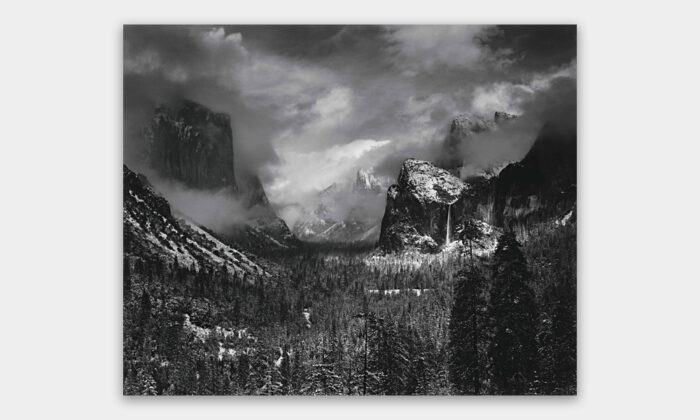 MoMA Is Selling a Bunch of Famous Photographs