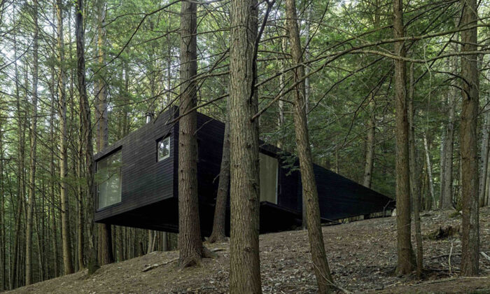 Sullivan County Tree House