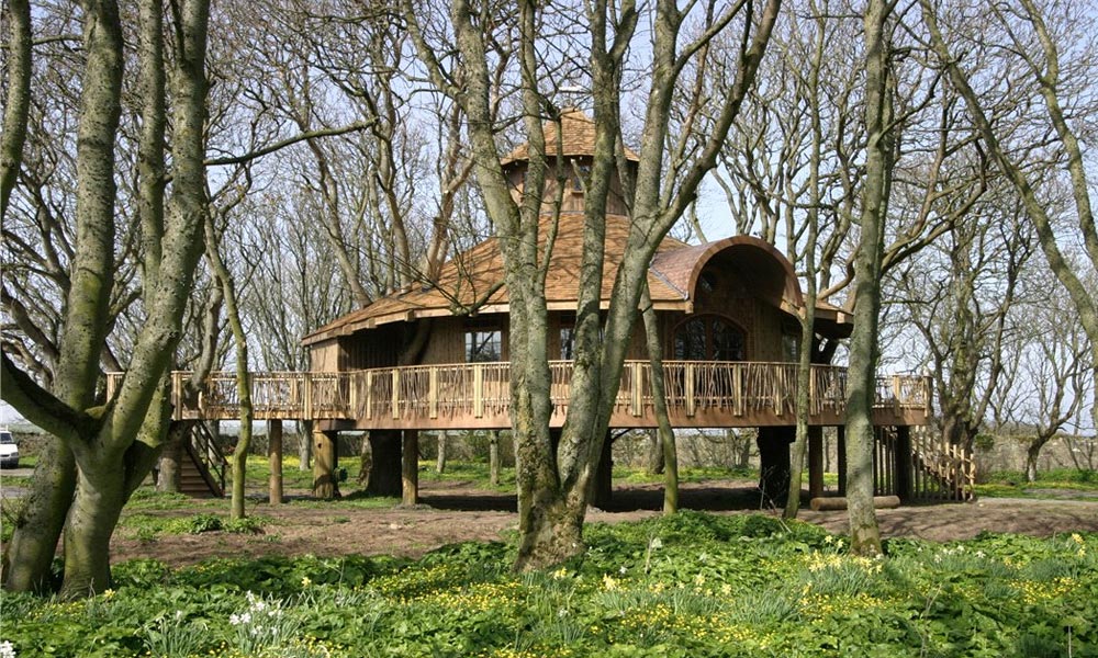 Alt Image