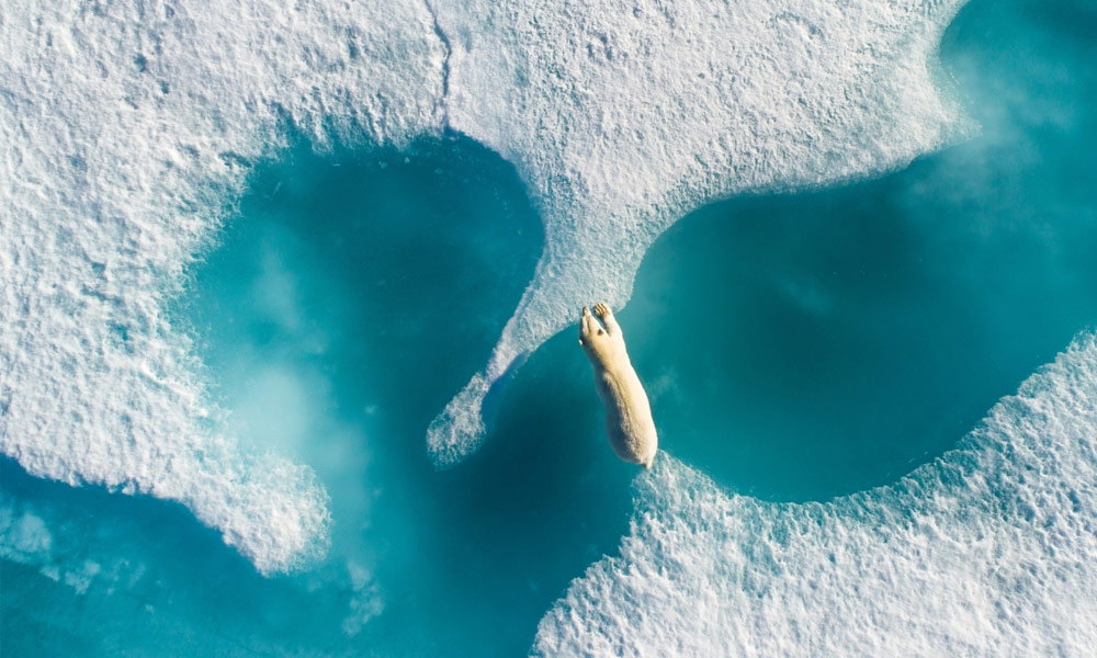 The Best Drone Photography of the Year