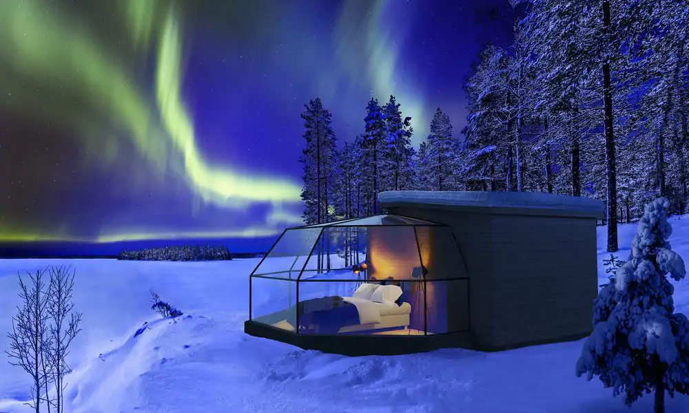 Arctic Fox Igloos