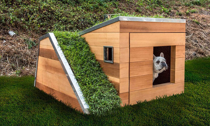 Studio Schicketanz Dog House