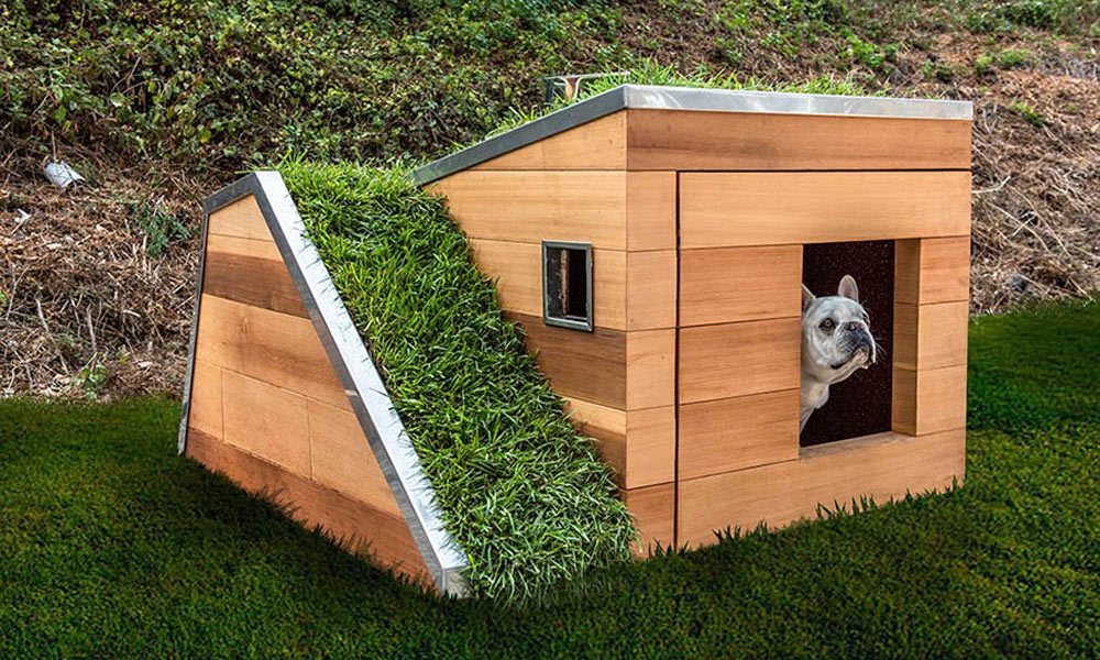 Studio Schicketanz Dog House