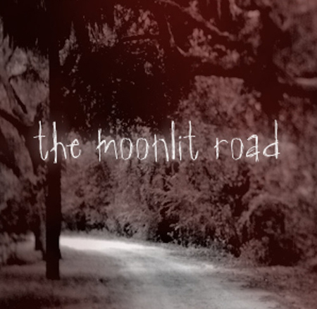 The Moonlit Road