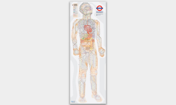 Human Anatomy Subway Map
