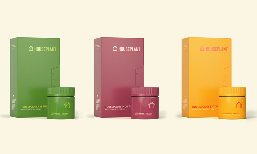 Seth Rogen Just Launched His Own Weed Company ‘Houseplant’