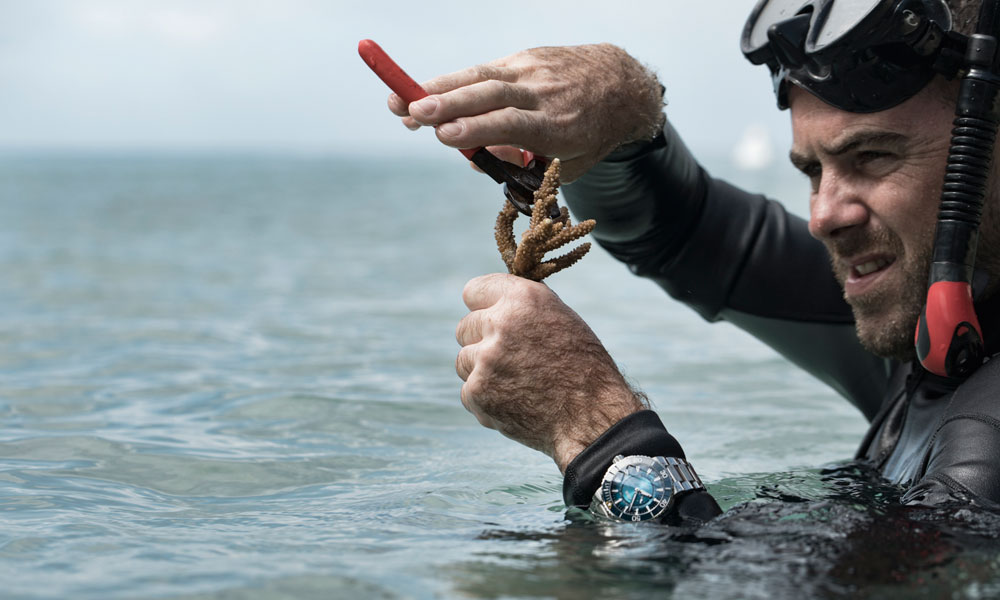 Oris Great Barrier Reef III Limited Edition Watch Supports the Reef Restoration Foundation