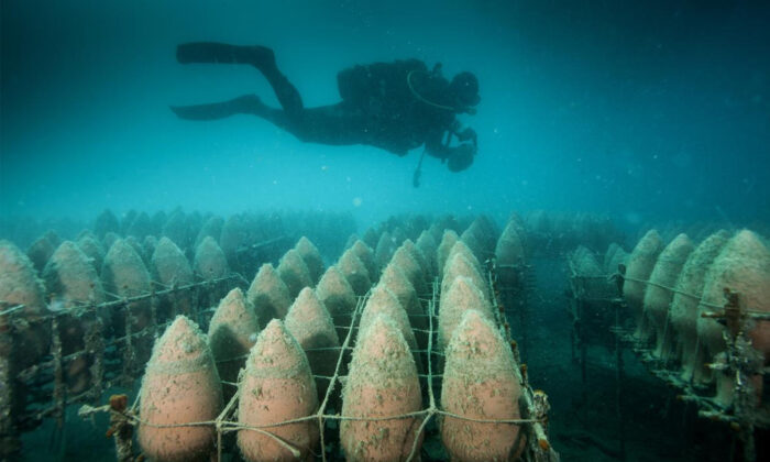 Underwater Wine Cellar