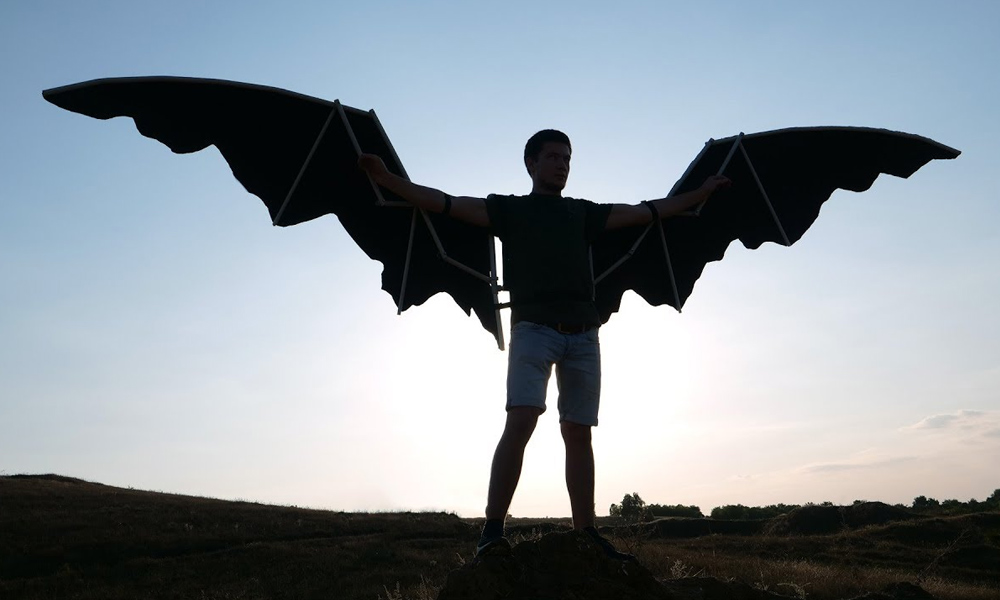 Homemade Batman Wings