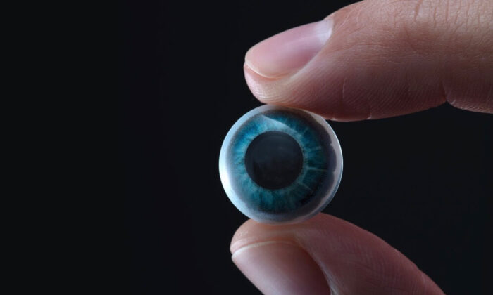 Mojo-Contact-Lenses