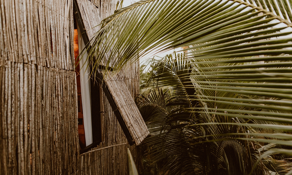 Alt Image