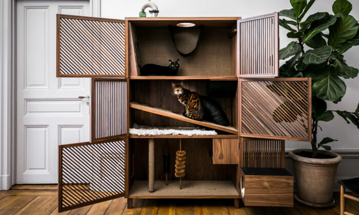 Cat-Flat-24Storage
