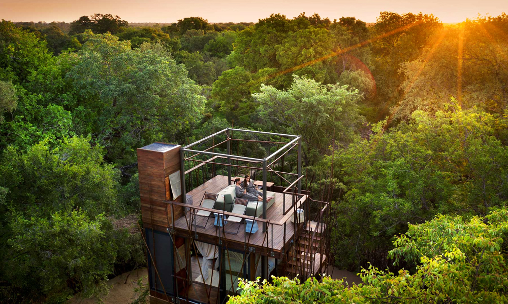 The Ngala Treehouse Experience