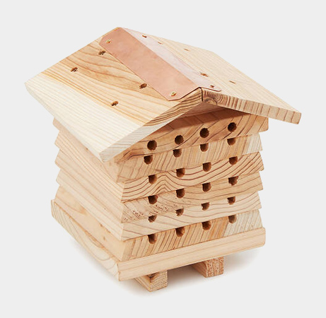 Solitary Bee Hive