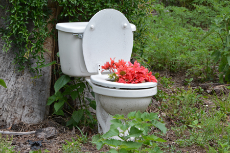 Let This Man Keep His Toilet Gardens