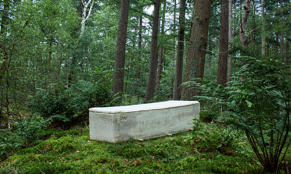 Alt Image