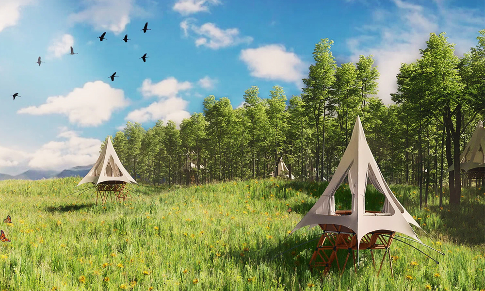 O2 Treewalkers Treehouses