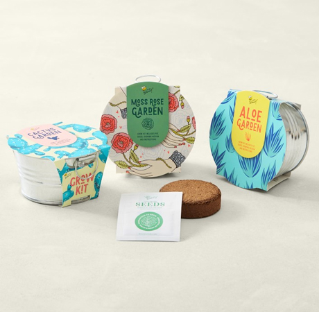 Williams Sonoma Mini Basin Seed Trio Set