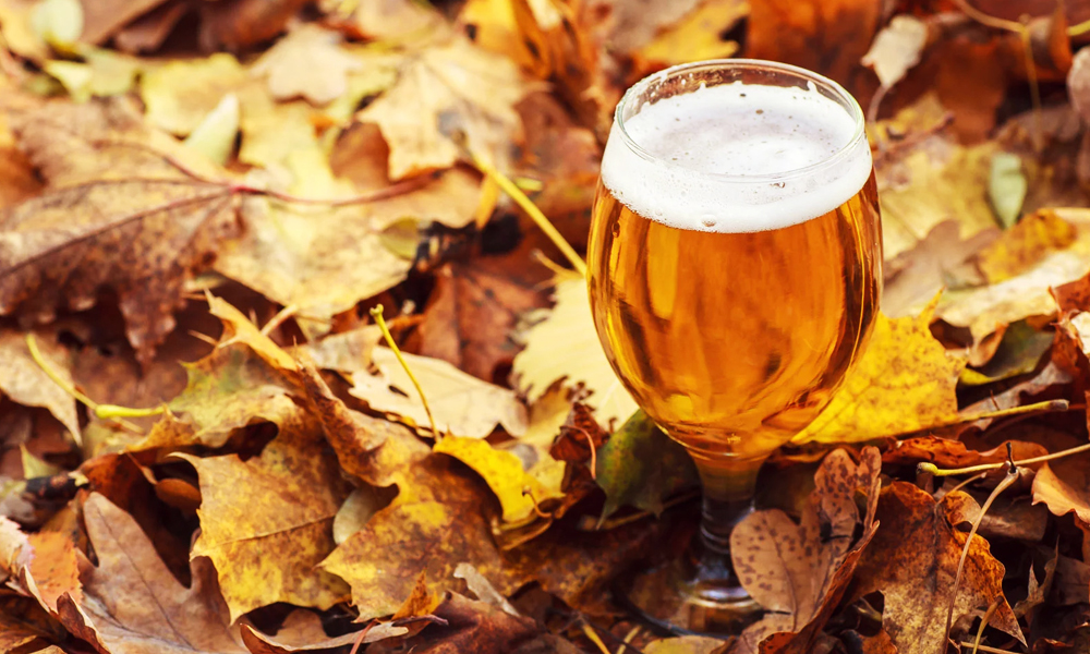 The Best Beer to Drink This Fall