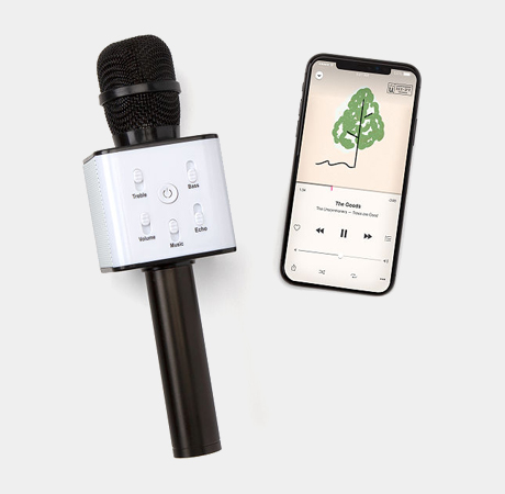 Karaoke Microphone Speaker