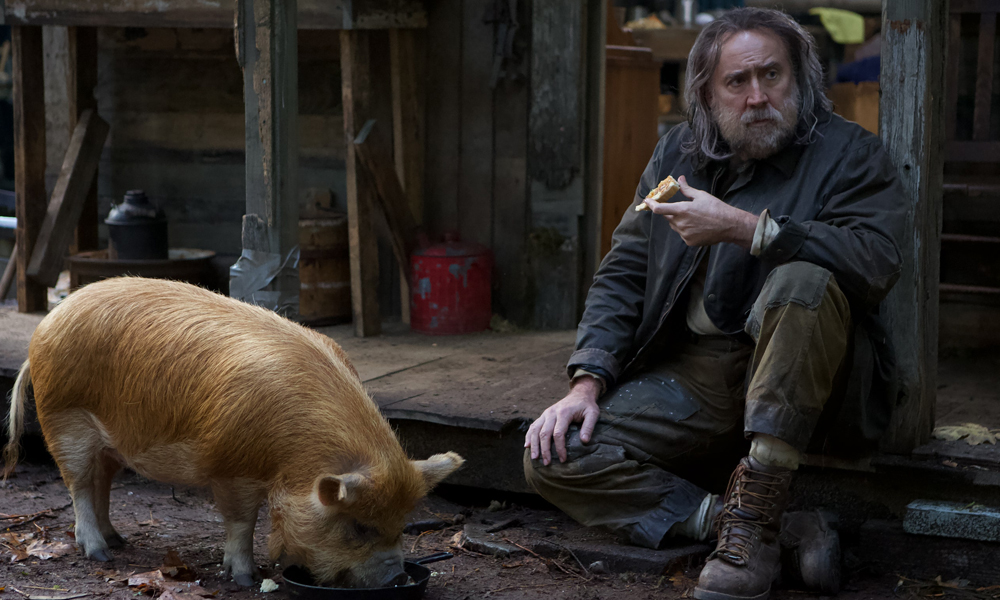The Best Movies of 2021, According to the Cool Material Team