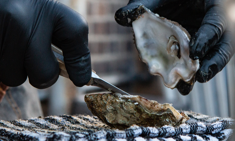 How to Shuck an Oyster Without Hurting Yourself