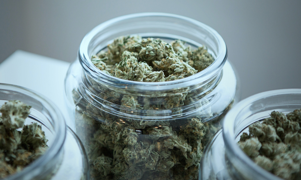 Indica v. Sativa v. Hybrid: What’s the Difference?