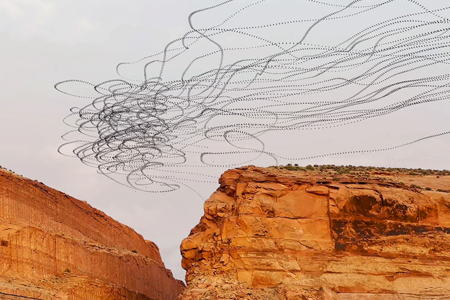 Photographer Creates Mesmerizing Flight Trails of Winged Creatures as a Meditation on Time
