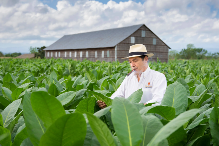 How a Small Family Business Grew into the Most Popular Dominican Cigar Brand Today