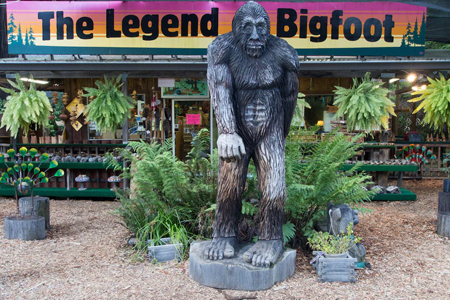Why We Need Bigfoot, Even If It Isn't Real